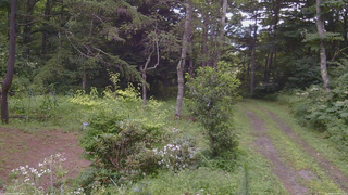 長野県菅平高原 ゆたか山荘 坂上 2026/08/11 09:45