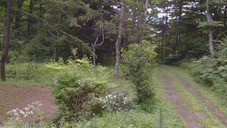 長野県菅平高原 ゆたか山荘 坂上 2026/08/11 10:00