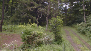 長野県菅平高原 ゆたか山荘 坂上 2026/08/11 10:15