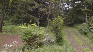 長野県菅平高原 ゆたか山荘 坂上 2026/08/11 10:30