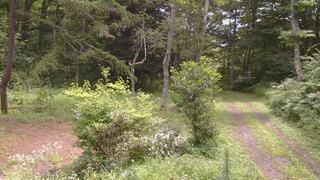 長野県菅平高原 ゆたか山荘 坂上 2026/08/11 10:45