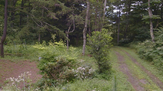 長野県菅平高原 ゆたか山荘 坂上 2026/08/11 11:00