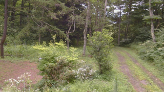 長野県菅平高原 ゆたか山荘 坂上 2026/08/11 11:15