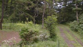 長野県菅平高原 ゆたか山荘 坂上 2026/08/11 11:30