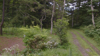 長野県菅平高原 ゆたか山荘 坂上 2026/08/11 11:45