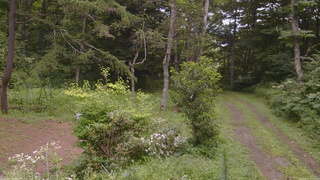 長野県菅平高原 ゆたか山荘 坂上 2026/08/11 12:00