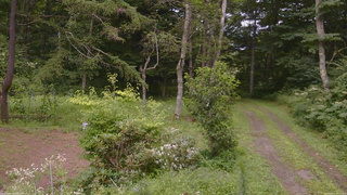 長野県菅平高原 ゆたか山荘 坂上 2026/08/11 12:15