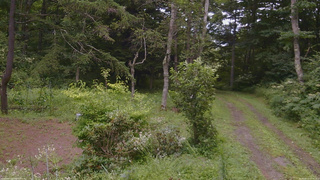長野県菅平高原 ゆたか山荘 坂上 2026/08/11 12:30