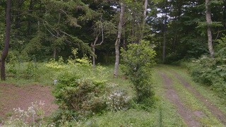 長野県菅平高原 ゆたか山荘 坂上 2026/08/11 12:45