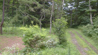 長野県菅平高原 ゆたか山荘 坂上 2026/08/11 13:00