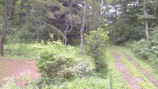 長野県菅平高原 ゆたか山荘 坂上 2026/08/11 13:45