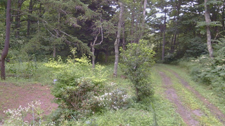 長野県菅平高原 ゆたか山荘 坂上 2026/08/11 14:00