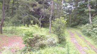 長野県菅平高原 ゆたか山荘 坂上 2026/08/11 14:15