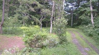 長野県菅平高原 ゆたか山荘 坂上 2026/08/11 14:30