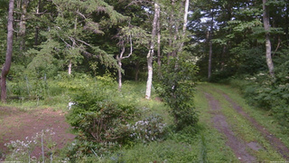 長野県菅平高原 ゆたか山荘 坂上 2026/08/11 14:45