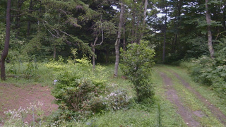 長野県菅平高原 ゆたか山荘 坂上 2026/08/11 15:00