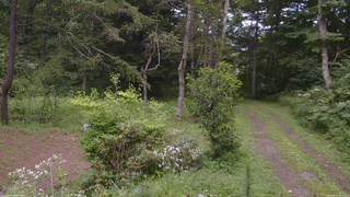 長野県菅平高原 ゆたか山荘 坂上 2026/08/11 15:15