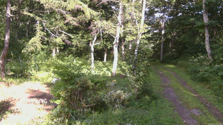 長野県菅平高原 ゆたか山荘 坂上 2026/08/11 15:30