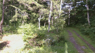 長野県菅平高原 ゆたか山荘 坂上 2026/08/11 15:45