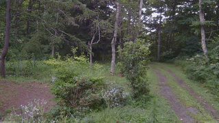 長野県菅平高原 ゆたか山荘 坂上 2026/08/11 16:15