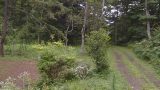 長野県菅平高原 ゆたか山荘 坂上 2026/08/11 16:30