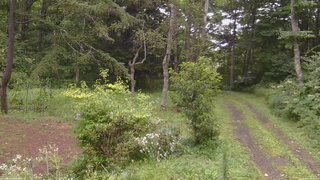 長野県菅平高原 ゆたか山荘 坂上 2026/08/11 16:45