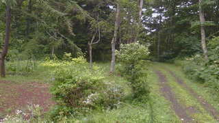 長野県菅平高原 ゆたか山荘 坂上 2026/08/11 17:15