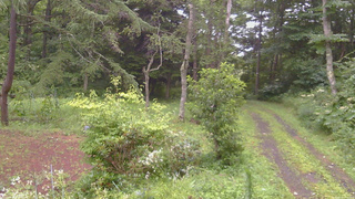 長野県菅平高原 ゆたか山荘 坂上 2026/08/11 17:30