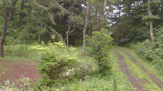 長野県菅平高原 ゆたか山荘 坂上 2026/08/11 17:45
