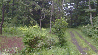 長野県菅平高原 ゆたか山荘 坂上 2026/08/11 18:00