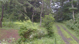 長野県菅平高原 ゆたか山荘 坂上 2026/08/11 18:15