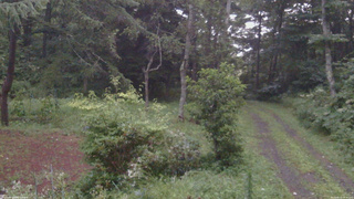 長野県菅平高原 ゆたか山荘 坂上 2026/08/11 18:30