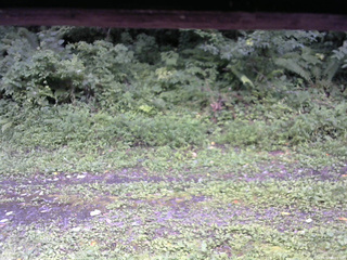 長野県菅平高原 ゆたか山荘 東側(坂下) 2026/08/12 12:00