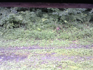 長野県菅平高原 ゆたか山荘 東側(坂下) 2026/08/12 12:15