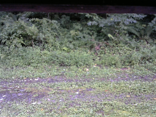 長野県菅平高原 ゆたか山荘 東側(坂下) 2026/08/12 18:00