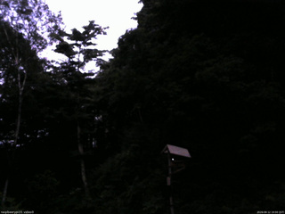 長野県菅平高原 ゆたか山荘 温度計 2026/08/12 19:00