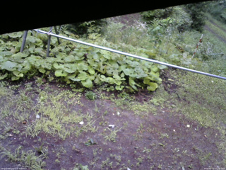 長野県菅平高原 ゆたか山荘 駐車場 2026/08/12 05:30