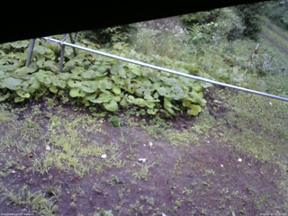 長野県菅平高原 ゆたか山荘 駐車場 2026/08/12 05:45