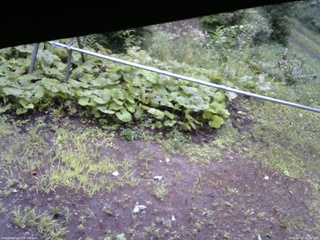 長野県菅平高原 ゆたか山荘 駐車場 2026/08/12 06:00