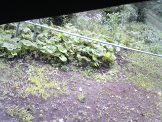 長野県菅平高原 ゆたか山荘 駐車場 2026/08/12 08:15
