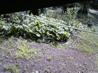 長野県菅平高原 ゆたか山荘 駐車場 2026/08/12 08:45