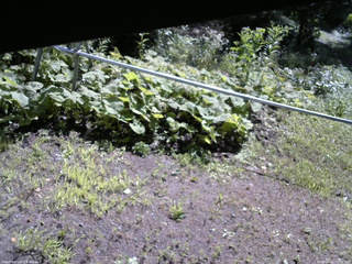 長野県菅平高原 ゆたか山荘 駐車場 2026/08/12 09:00