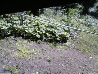 長野県菅平高原 ゆたか山荘 駐車場 2026/08/12 09:15