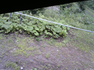 長野県菅平高原 ゆたか山荘 駐車場 2026/08/12 13:30
