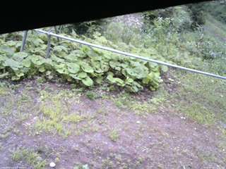 長野県菅平高原 ゆたか山荘 駐車場 2026/08/12 14:15