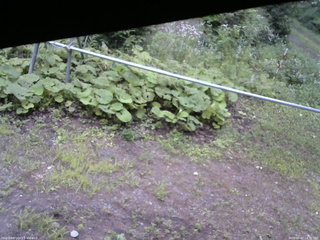 長野県菅平高原 ゆたか山荘 駐車場 2026/08/12 14:30