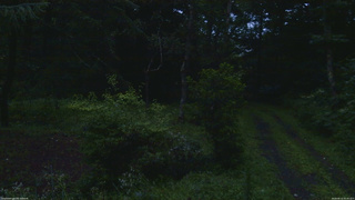 長野県菅平高原 ゆたか山荘 坂上 2026/08/12 05:00