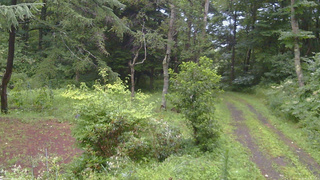 長野県菅平高原 ゆたか山荘 坂上 2026/08/12 05:15
