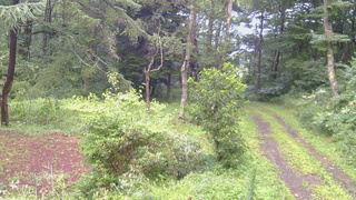 長野県菅平高原 ゆたか山荘 坂上 2026/08/12 05:30