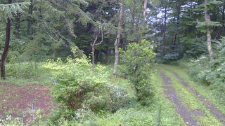長野県菅平高原 ゆたか山荘 坂上 2026/08/12 05:45